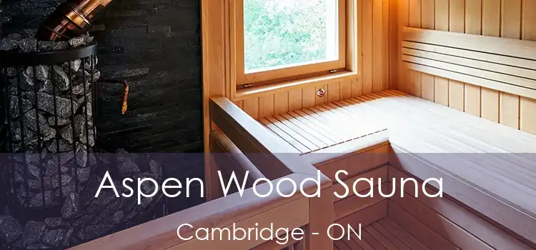  Aspen Wood Sauna Cambridge - ON