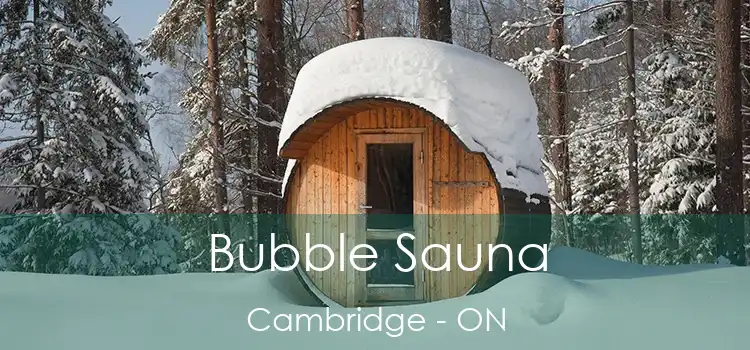  Bubble Sauna Cambridge - ON
