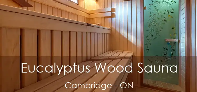  Eucalyptus Wood Sauna Cambridge - ON