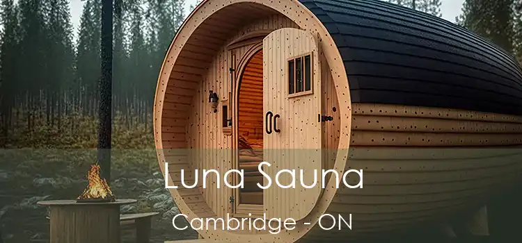  Luna Sauna Cambridge - ON