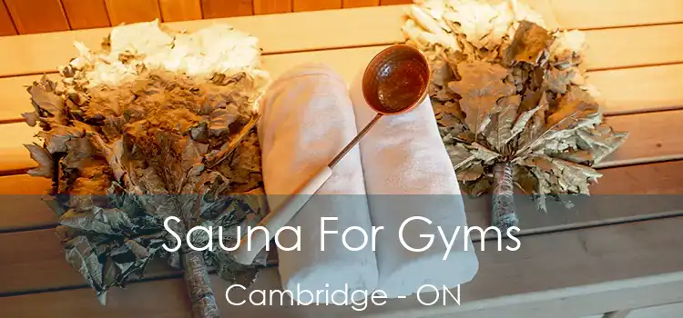  Sauna For Gyms Cambridge - ON