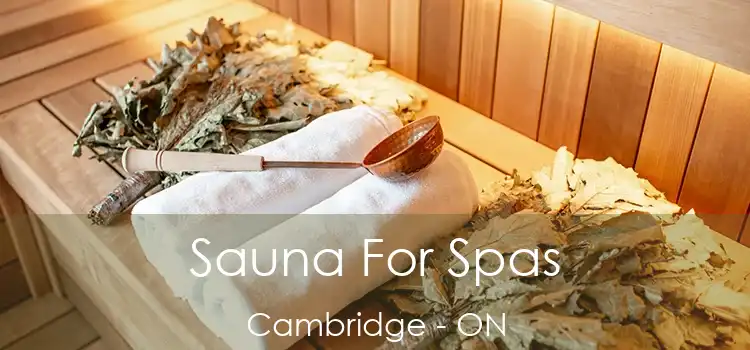  Sauna For Spas Cambridge - ON