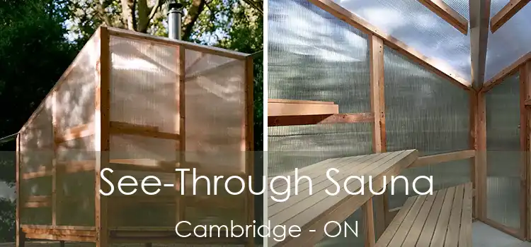  See-Through Sauna Cambridge - ON